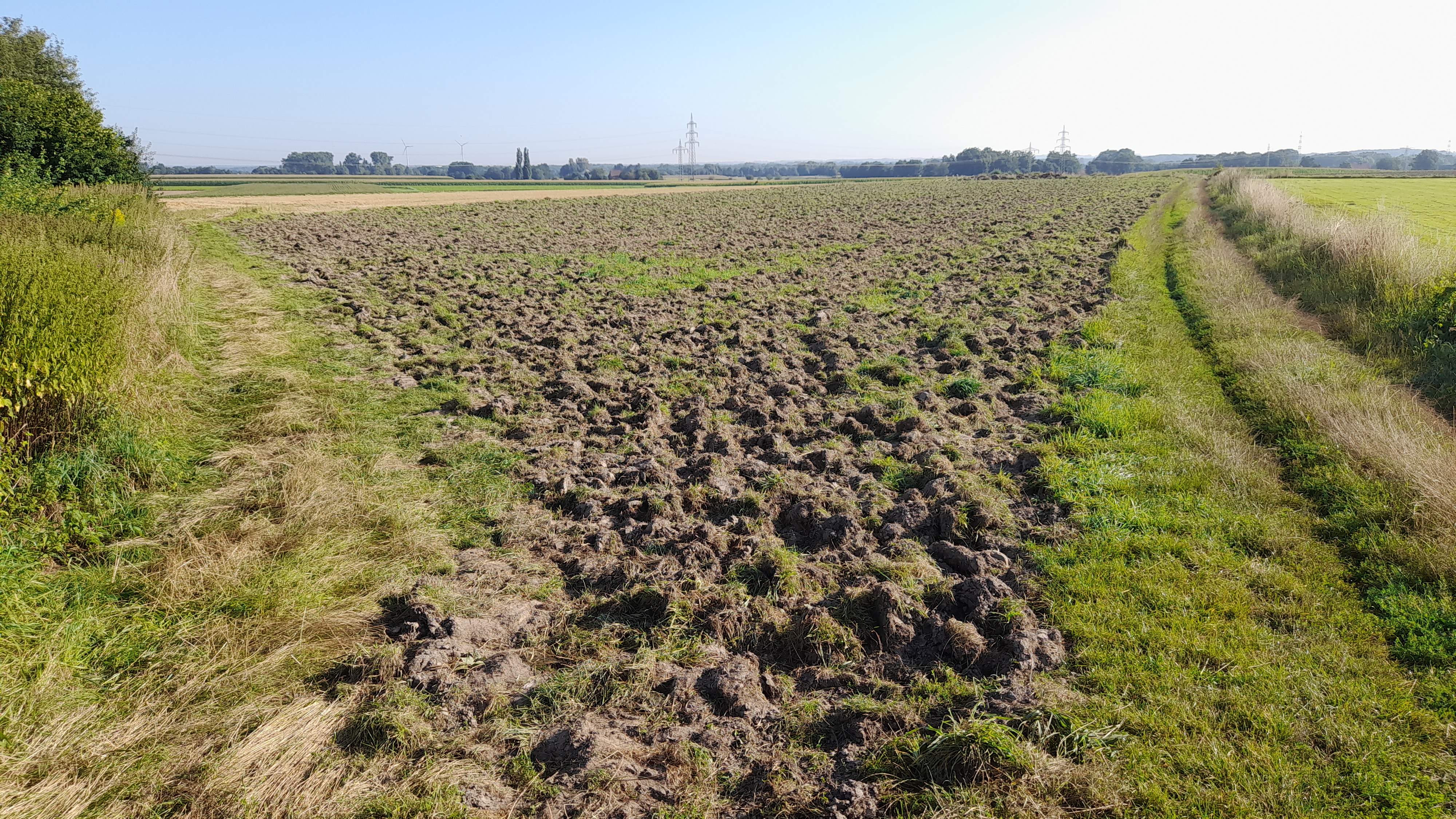 Acker und Wiese