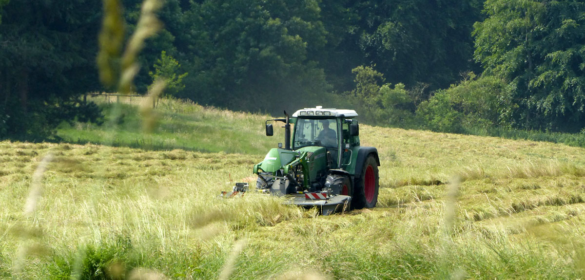 Traktor auf einer Wiese